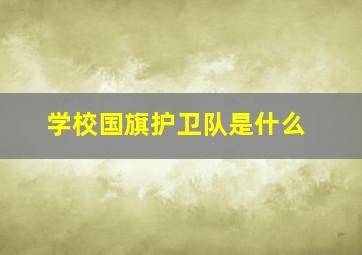 学校国旗护卫队是什么