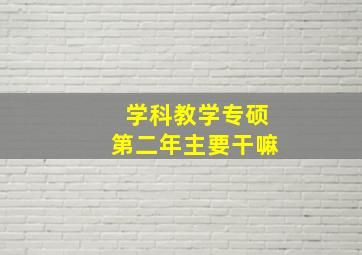 学科教学专硕第二年主要干嘛