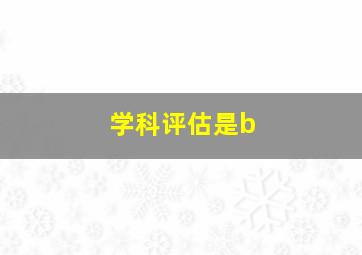 学科评估是b