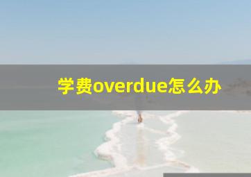 学费overdue怎么办