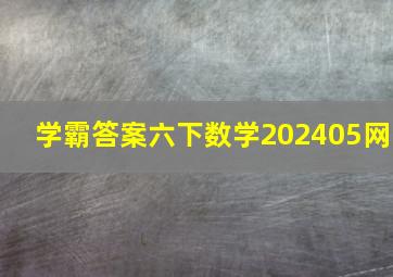 学霸答案六下数学202405网