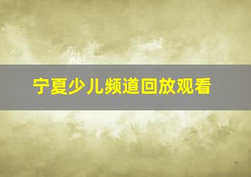 宁夏少儿频道回放观看