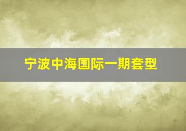 宁波中海国际一期套型