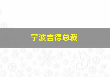 宁波吉德总裁