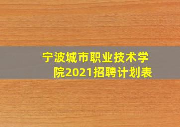 宁波城市职业技术学院2021招聘计划表