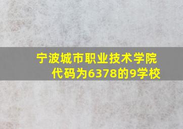 宁波城市职业技术学院代码为6378的9学校