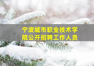 宁波城市职业技术学院公开招聘工作人员