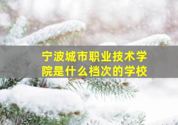 宁波城市职业技术学院是什么档次的学校