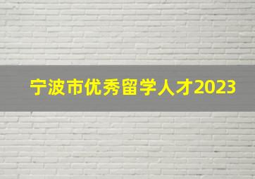 宁波市优秀留学人才2023