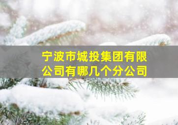 宁波市城投集团有限公司有哪几个分公司