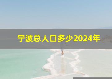 宁波总人口多少2024年