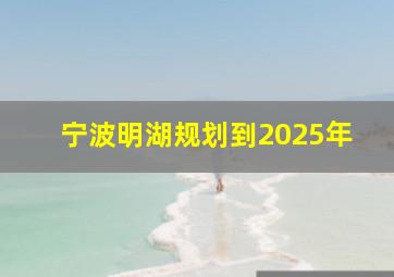 宁波明湖规划到2025年