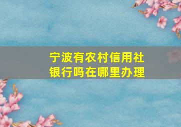 宁波有农村信用社银行吗在哪里办理