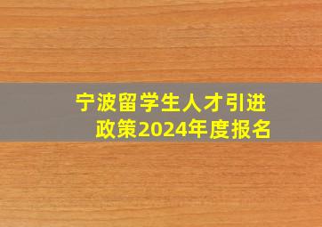 宁波留学生人才引进政策2024年度报名