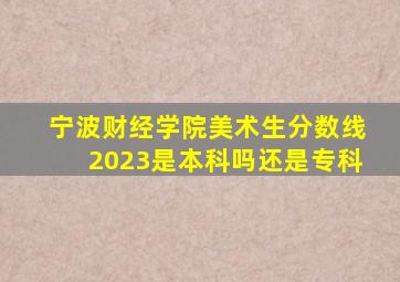 宁波财经学院美术生分数线2023是本科吗还是专科