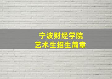 宁波财经学院艺术生招生简章