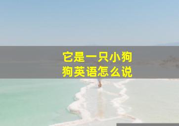 它是一只小狗狗英语怎么说