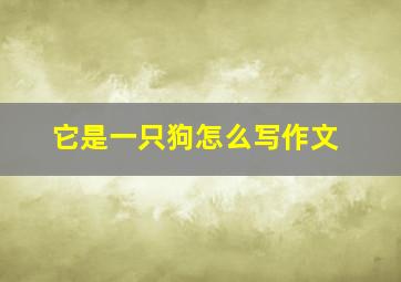 它是一只狗怎么写作文