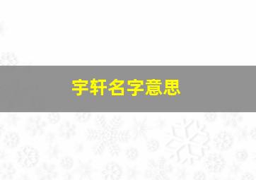 宇轩名字意思