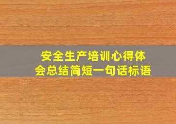 安全生产培训心得体会总结简短一句话标语