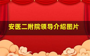 安医二附院领导介绍图片