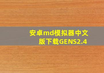 安卓md模拟器中文版下载GENS2.4