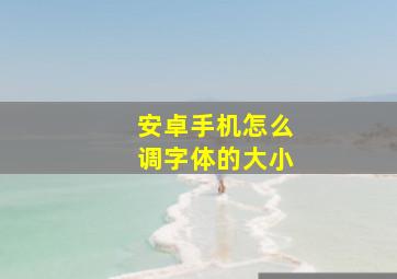 安卓手机怎么调字体的大小