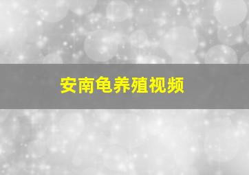 安南龟养殖视频