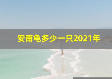 安南龟多少一只2021年