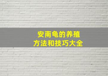 安南龟的养殖方法和技巧大全