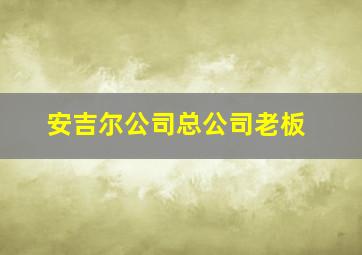 安吉尔公司总公司老板