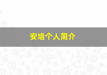 安培个人简介