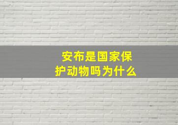 安布是国家保护动物吗为什么