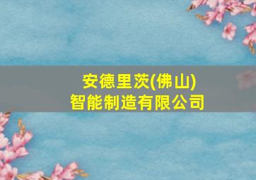 安德里茨(佛山)智能制造有限公司