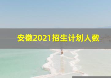 安徽2021招生计划人数