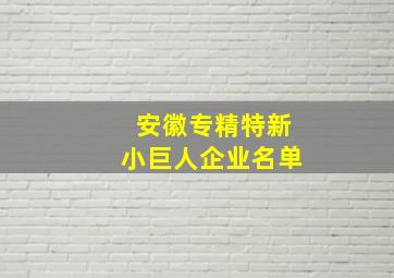 安徽专精特新小巨人企业名单