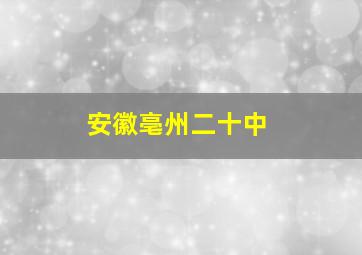 安徽亳州二十中