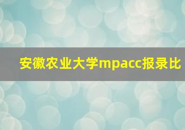 安徽农业大学mpacc报录比