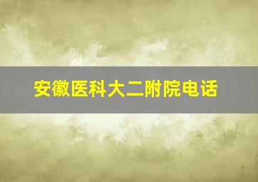 安徽医科大二附院电话