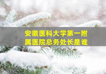 安徽医科大学第一附属医院总务处长是谁