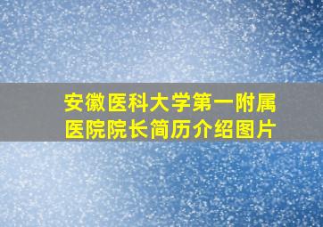 安徽医科大学第一附属医院院长简历介绍图片