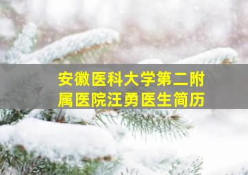 安徽医科大学第二附属医院汪勇医生简历