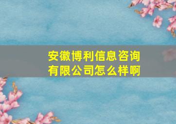 安徽博利信息咨询有限公司怎么样啊