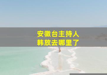 安徽台主持人韩放去哪里了