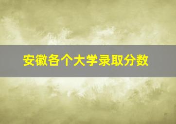 安徽各个大学录取分数