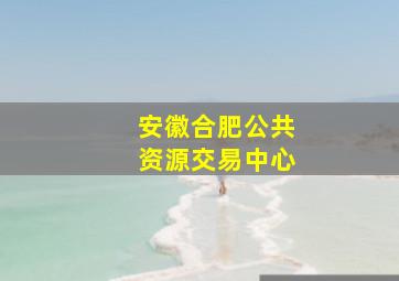 安徽合肥公共资源交易中心