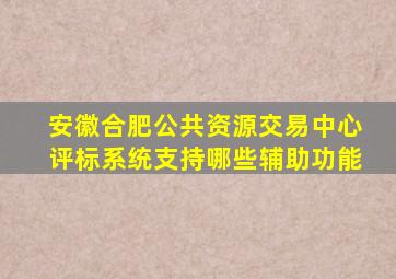 安徽合肥公共资源交易中心评标系统支持哪些辅助功能