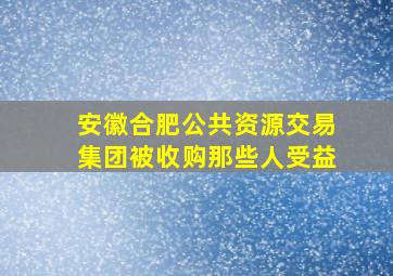 安徽合肥公共资源交易集团被收购那些人受益