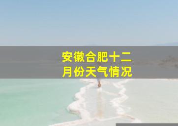 安徽合肥十二月份天气情况