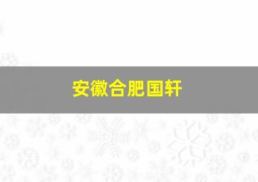 安徽合肥国轩